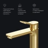 Смеситель для раковины AM.PM X-Joy F85A92099 высокий, золото