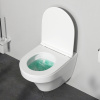 Подвесной унитаз Am.Pm Inspire C501700WH белый, FlashClean безободковый