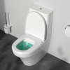 Унитаз-компакт Am.Pm Inspire C508607WH белый